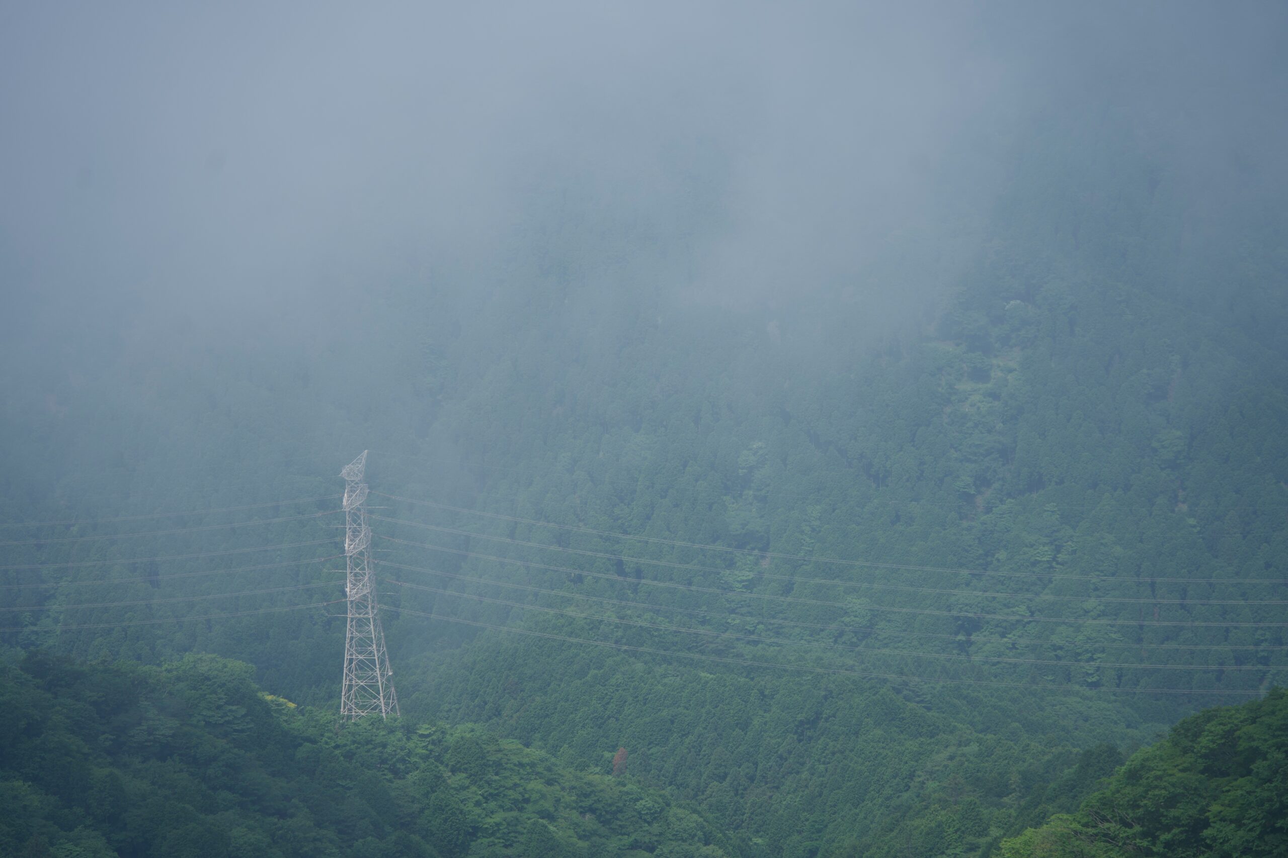 AI wildfire detection cameras monitor a foggy, forested mountain ridge near Jackson, Wyoming