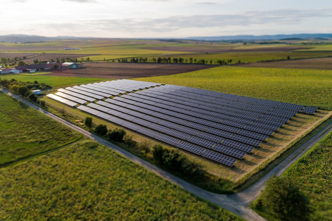 Solar panels at a community solar farm like the one behind Rockford community solar savings for local families