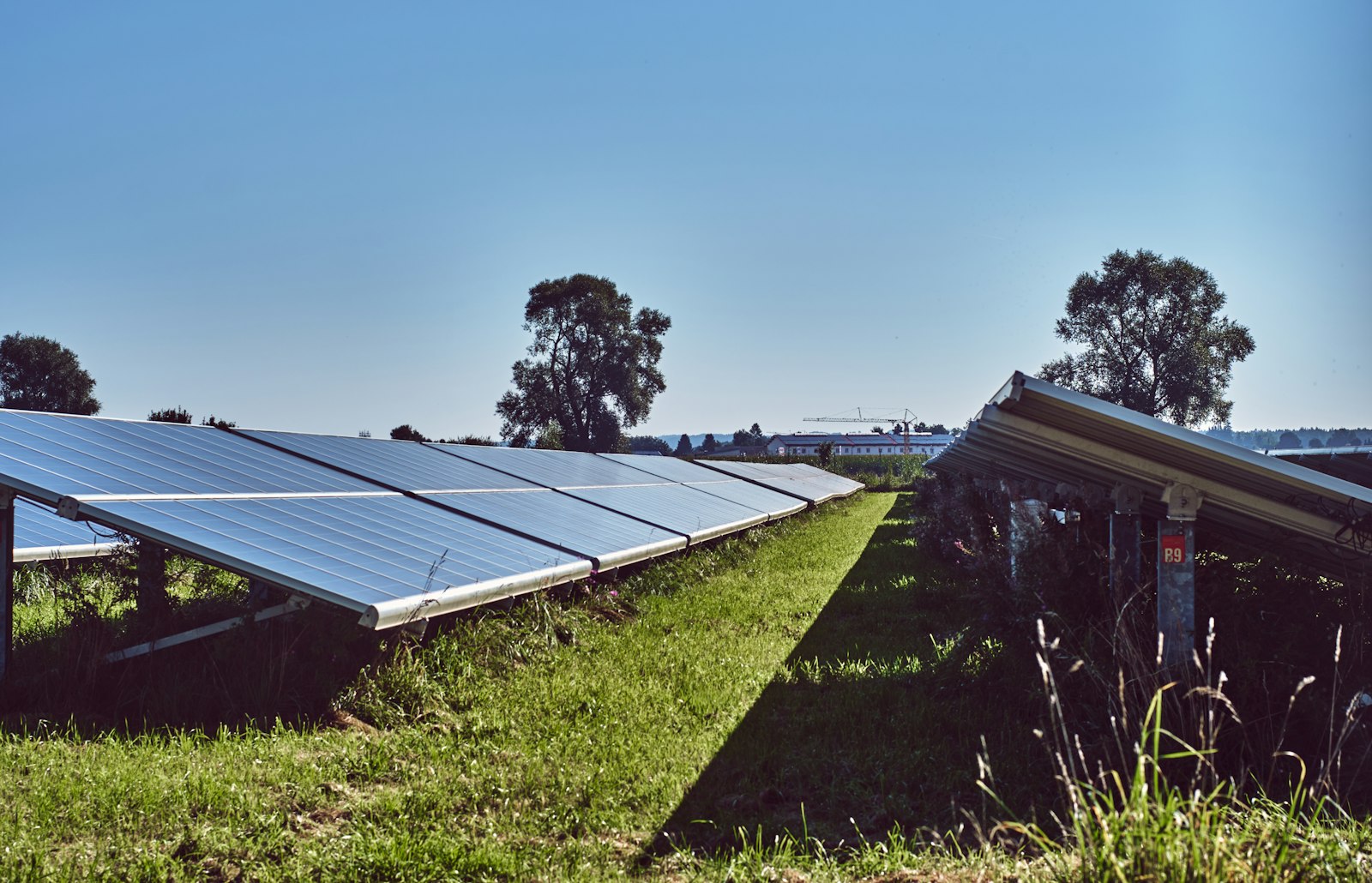 Solar panels in a green field, the kind of clean energy project behind Michigan school solar savings.