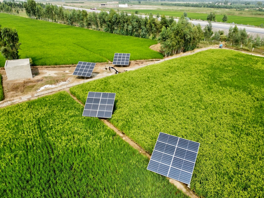 A Virginia Solar Deal Cuts Power Bills and Saves a 150-Year-Old Family Farm