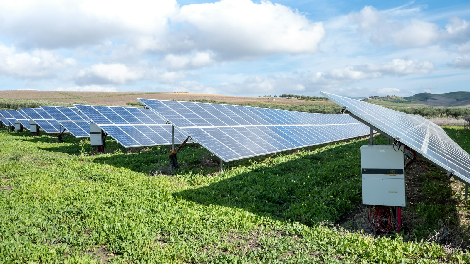 Ground-mounted solar panels on a green grass field, illustrating farming alongside a solar garden like the Big Lake, Minnesota site
