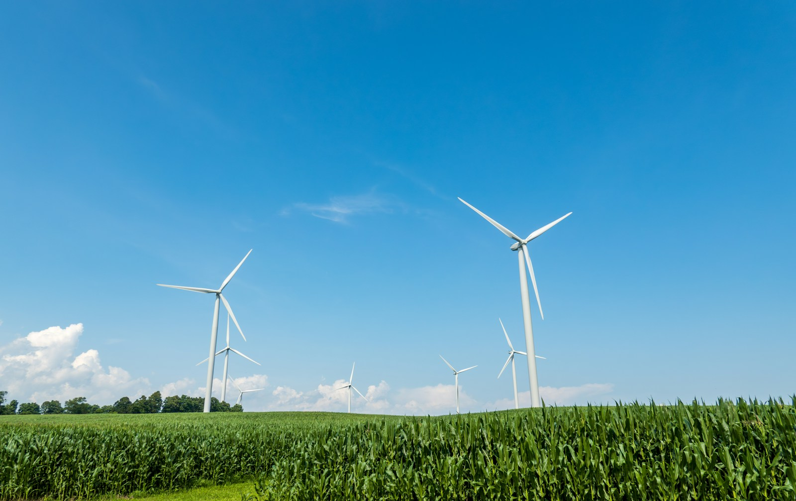 Three wind turbines rising above a cornfield under a blue sky, a Midwest scene for Illinois grid storage